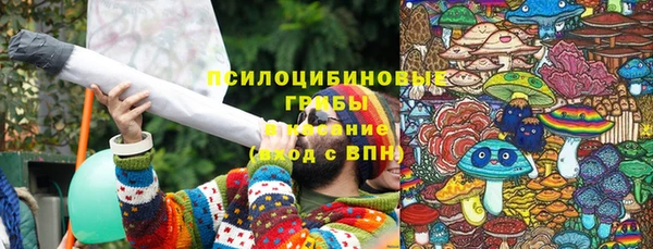эйфоретик Арсеньев