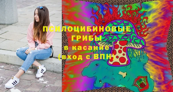 стаф Балахна