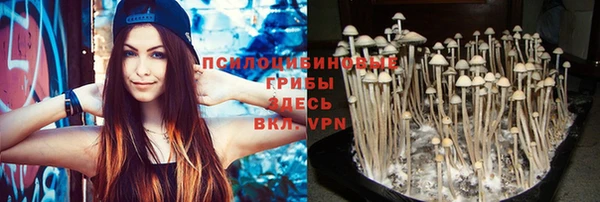 ГАЛЛЮЦИНОГЕННЫЕ ГРИБЫ Балабаново