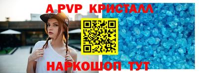 стаф Кингисепп