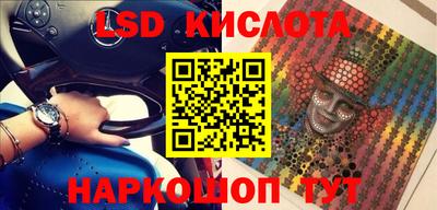 шишки Кимры