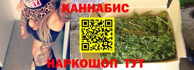 шишки Кимры