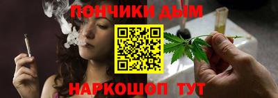шишки Кимры