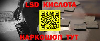 стаф Кингисепп