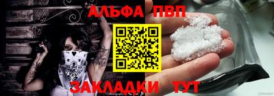 стаф Кингисепп
